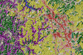 LandCover